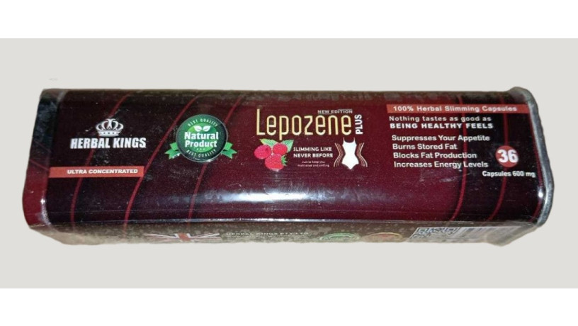 lybozyn-bls-lepozene-plus-tkhsys-big-0