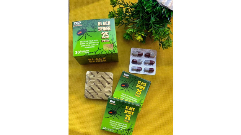 kbsolat-blak-sbaydr-lltkhsys-black-spider-big-0