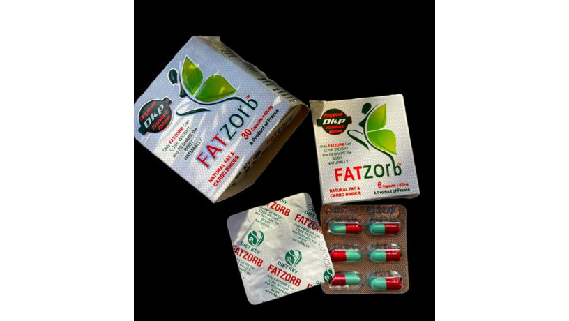 fat-zorb-kbsolat-lltkhsys-big-0