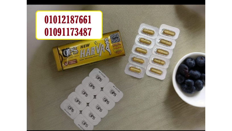 harfa-alalman-lrsm-algsm-01012187661-big-2