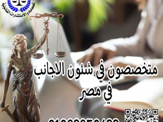 اشهر محامي متخصص في شئون الاجانب داخل مؤسسه تاج الدين بمحافظه القاهره