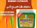 odaaaa-llozn-alzayd-maa-ryborn-01012187661-small-0
