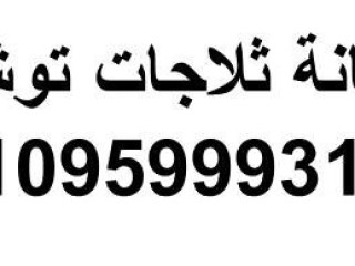 وكيل صيانة ثلاجة توشيبا فى مكرم عبيد 01154008110