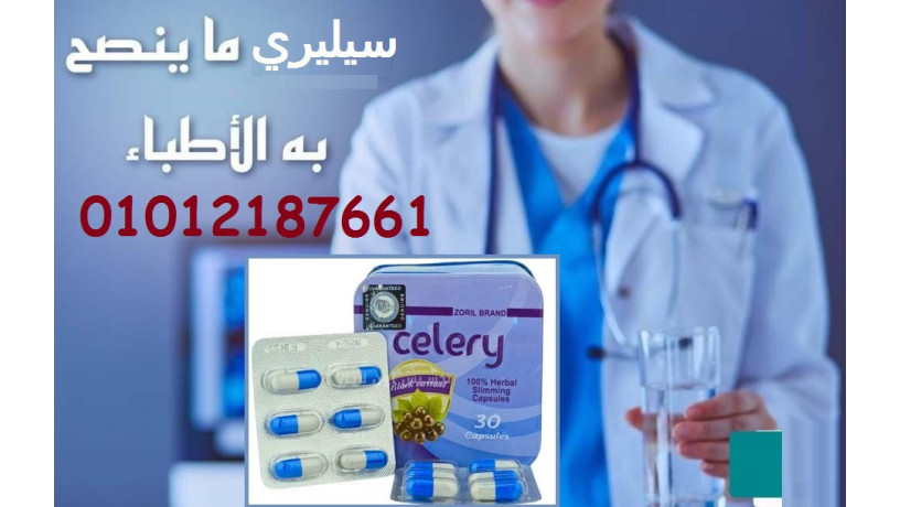 grb-kbsolat-sylyry-lltkhsys-oshof-alfrk-bnfsk-big-0