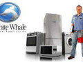 syan-thlagh-oayt-oyl-zhraaa-almaaady-01095999314-small-0