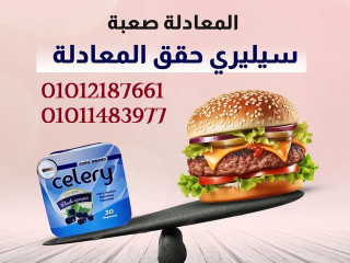 رجعى مقاساتك القديمة مع سيليري الالمانى