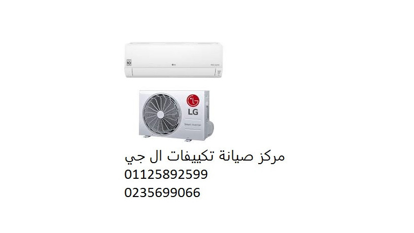 syan-tkyyfat-al-gy-shbyn-alkom-01112124913-big-0