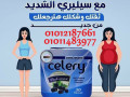 sylyry-bythbt-alshhy-oyzod-altak-small-0