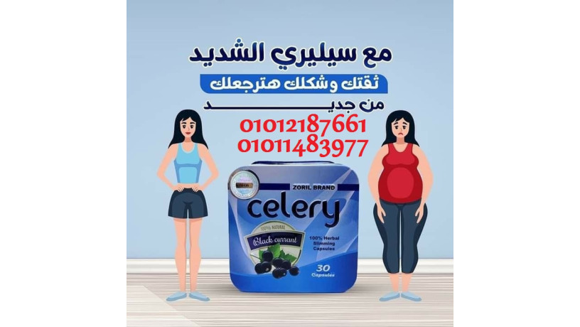 sylyry-bythbt-alshhy-oyzod-altak-big-0