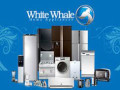 syan-thlagat-oayt-oyl-almnzly-fy-mkrm-aabyd-01112124913-small-0