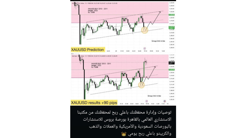 tosyat-thhby-oadar-mhfthtk-balashm-alsaaody-oalamryky-oalaamlat-mn-mktbna-alastshary-bors-bros-alforks-big-7