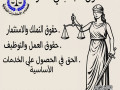 ashhr-mhamy-mtkhss-fy-shyon-alaganb-fy-msr-bmossh-tag-aldyn-llastsharat-alkanonyh-small-0