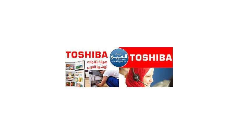 syan-thlagat-nofrost-toshyba-balmnsor-01060037840-big-0
