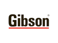 aanoan-syan-ghsalat-mlabs-gybson-mydan-algyz-01220261030-small-0