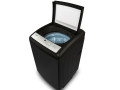 syan-aryston-llghsalat-fy-mhafth-alshrky-01060037840-small-0