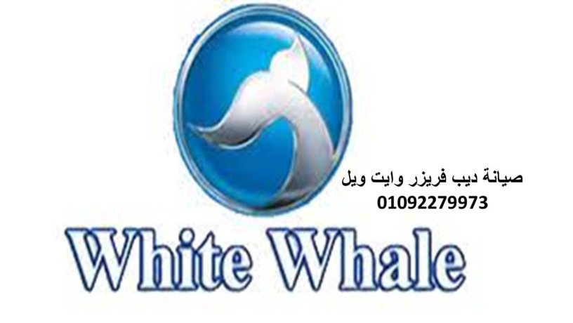 khdm-aamlaaa-thlagat-oayt-oyl-aktobr-01010916814-big-0