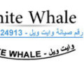 tslyh-dyb-fryzr-oayt-oyl-algyz-01129347771-small-0