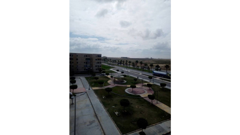 llbyaa-shk-fy-msakn-1040-bmdyn-brg-alaarb-big-0