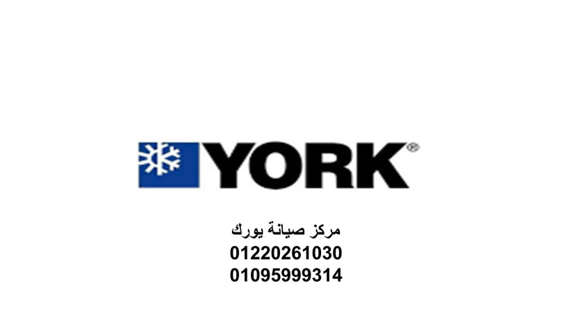 syan-tkyyf-york-msr-algdyd-01220261030-big-0