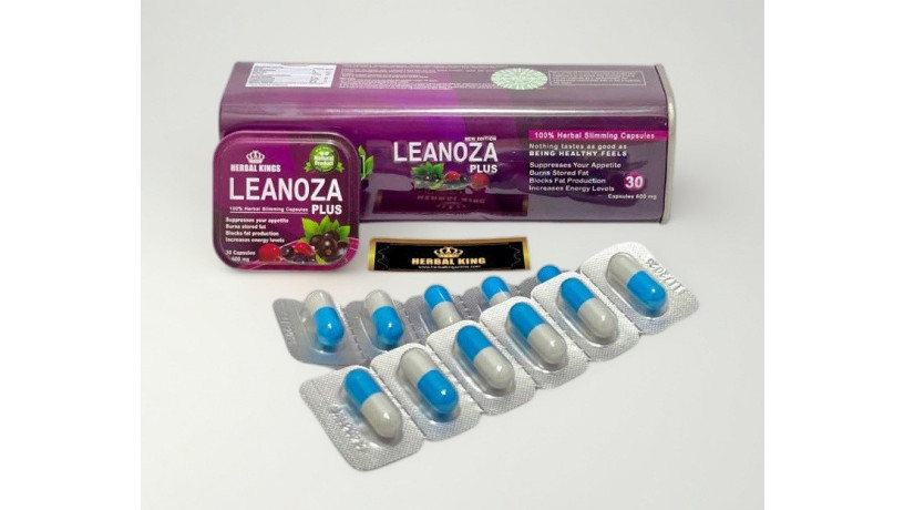 lltkhsys-kbsolat-lynoza-bls-big-0