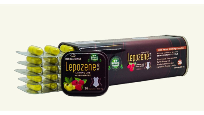 lltkhsys-kbsolat-lybozyn-bls-big-0