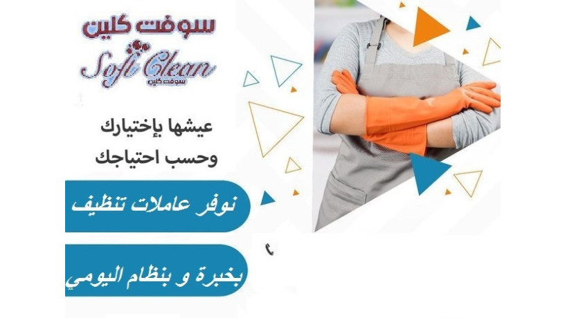 frykna-mogod-lnofr-lbytk-asraa-khdm-tnthyf-o-trtyb-yomy-bkhbr-obakl-alasaaar-big-0