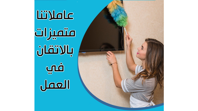 trtyb-almnzl-o-almkatb-baydy-amhr-aaamlat-obkhbr-aaaly-obsaar-mnafs-big-0