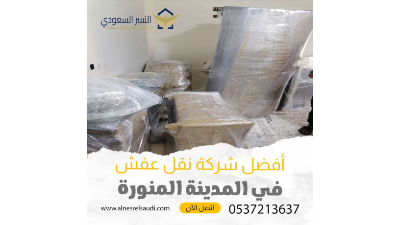 shrk-nkl-aafsh-bgd-0537213637-big-0