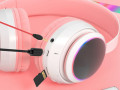 smaaa-ras-kt-ctn28-small-7