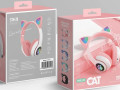 smaaa-ras-kt-ctn28-small-3