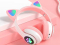 smaaa-ras-kt-ctn28-small-6