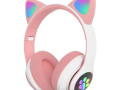 smaaa-ras-kt-ctn28-small-5