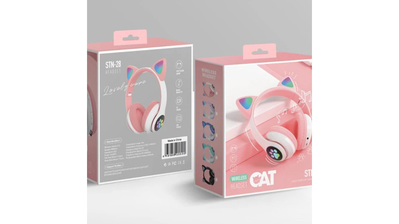 smaaa-ras-kt-ctn28-big-3
