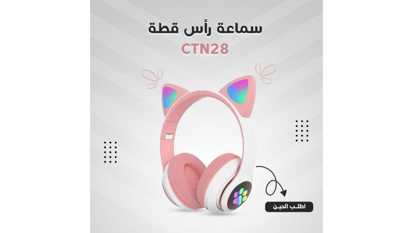 smaaa-ras-kt-ctn28-big-1